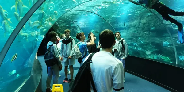 visuel Sortie à Nausicaa