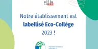 visuel EDD
